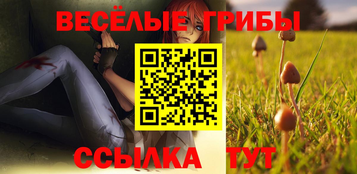 Псилоцибиновые грибы ЛСД  наркотики  Майкоп  Галлюциногенные грибы Magic Shrooms  Вход с VPN 